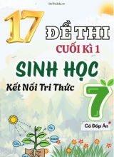 Tuyển tập 17 Đề thi cuối Kì 1 môn Sinh Học 7 sách Kết Nối Tri Thức (Kèm đáp án)